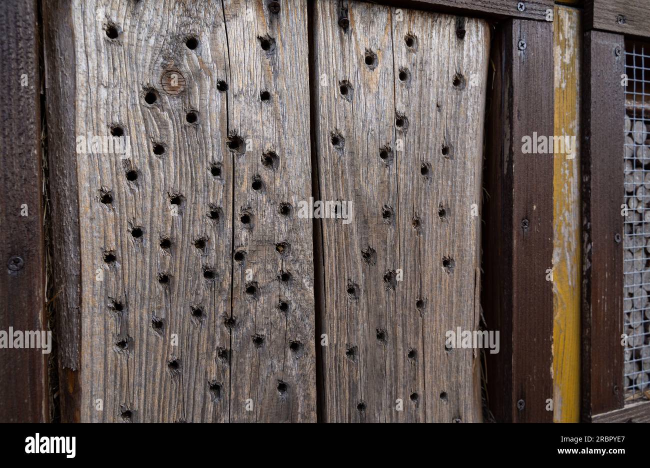 Wooden blocks with holes in an insect hotel Stock Photo Alamy