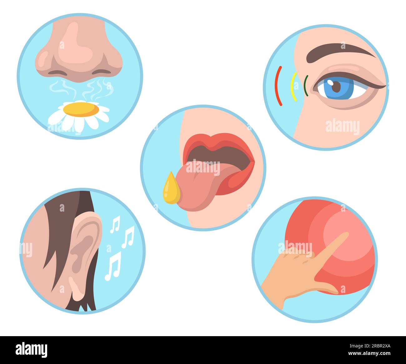 Five senses set Stock Vector Image & Art - Alamy