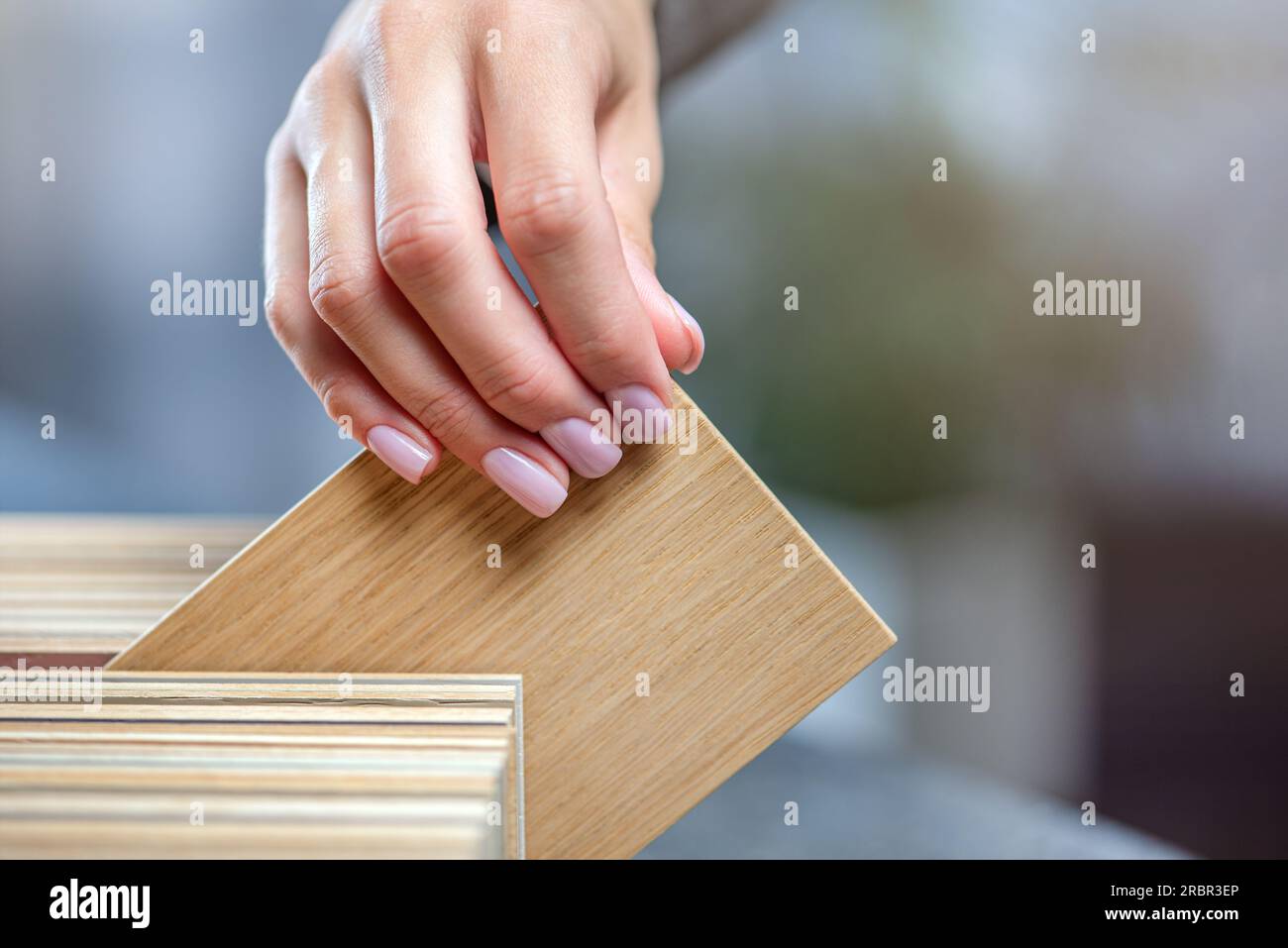 Wood samples. A box with samples of wood of different species and shades, high quality photo with space for text. Furniture production concept Stock Photo
