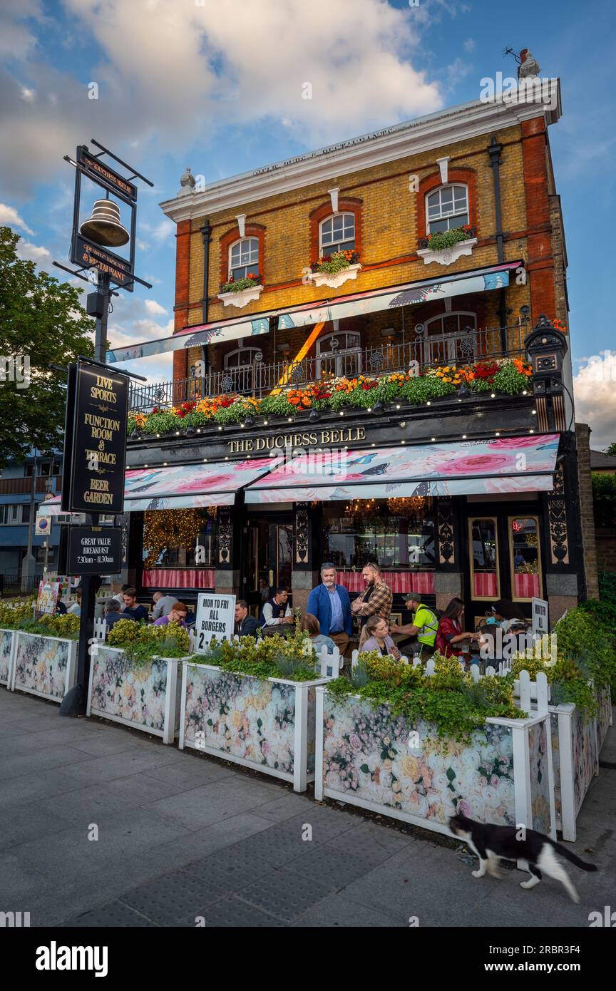 Battersea, London, UK: The Duchess Belle pub on Battersea Park Road near Battersea Power Station. Evening view of people outside the pub with cat Stock Photo