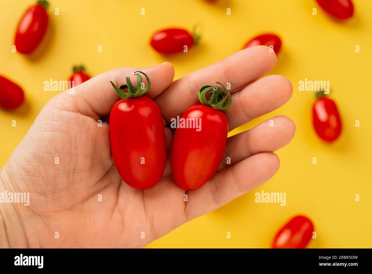Female hand holds two red Ornela cherry tomatoes over yellow background. Small bottle shaped tomatoes on a woman handpalm closeup. Organic vegetables Stock Photo