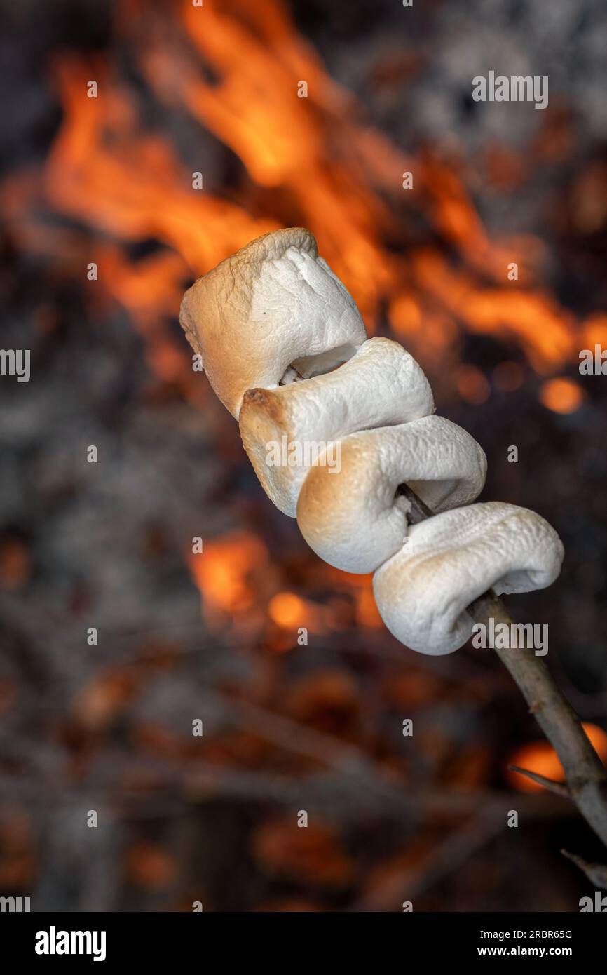 Marshmallow cooked on the fire. Marshmallow bbq. Stock Photo