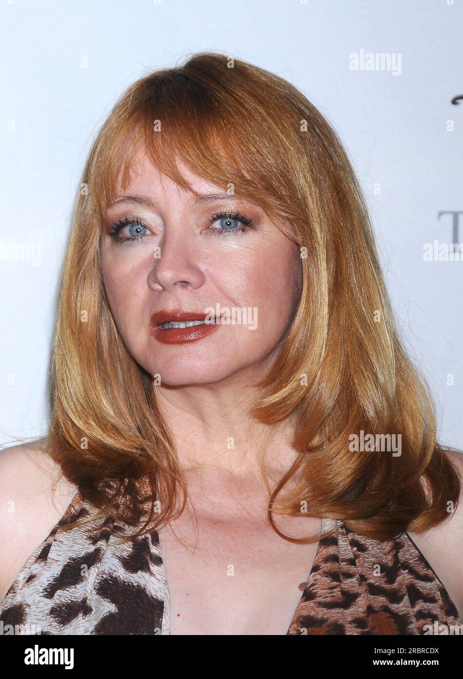 Beverly Hills, USA. 10th July, 2023. Soap Opera actress Andrea Evans died July 9, 2023 of cancer, she was 66 years old. July 17, 2008 Beverly Hills, Ca. Andrea Evans Disney ABC Television Group All Star Party Held at the Beverly Hilton Hotel © Tammie Arroyo/AFF-USA.com Credit: AFF/Alamy Live News Stock Photo