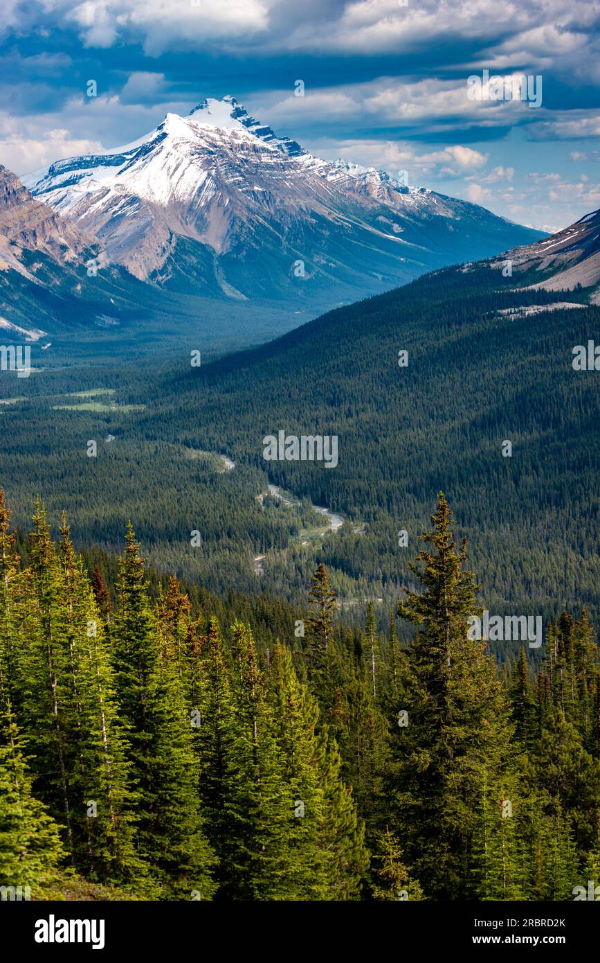 Mount Hector from the hiking trail to Helen Lake in Banff National Park, Alberta, Canada Stock