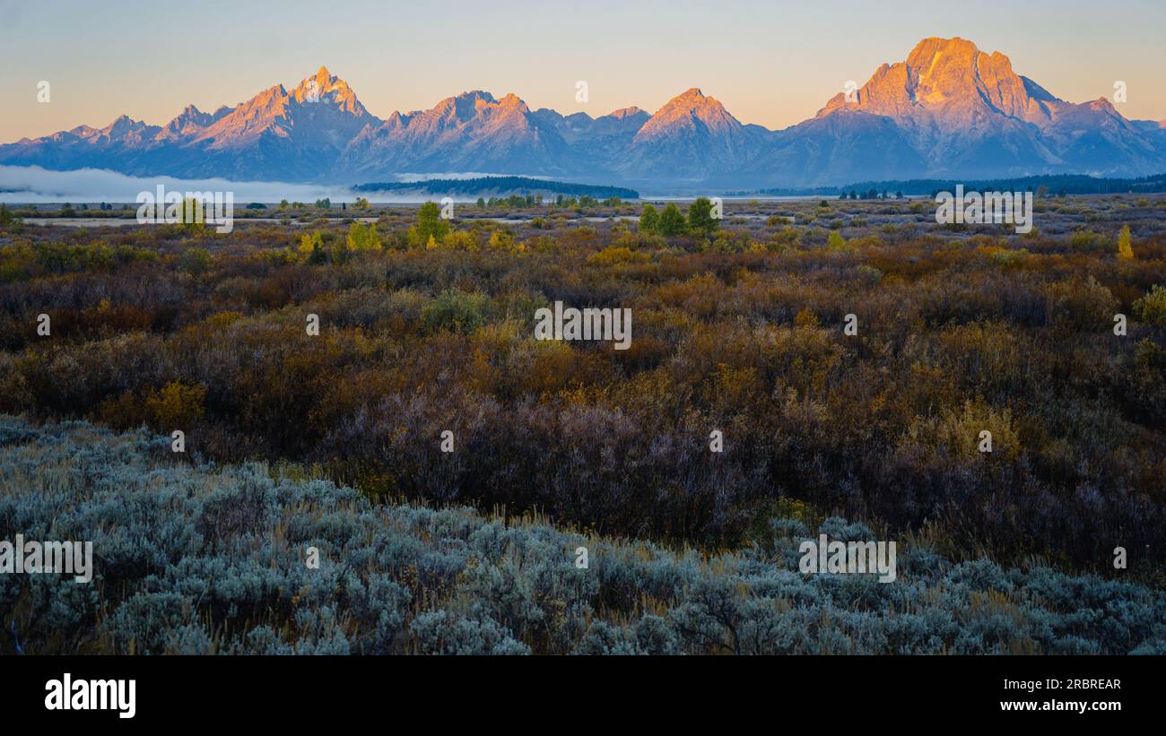 Willow Flats and Teton Range at Sunrise Grand Teton National Park, Wyoming, USA Stock Photo