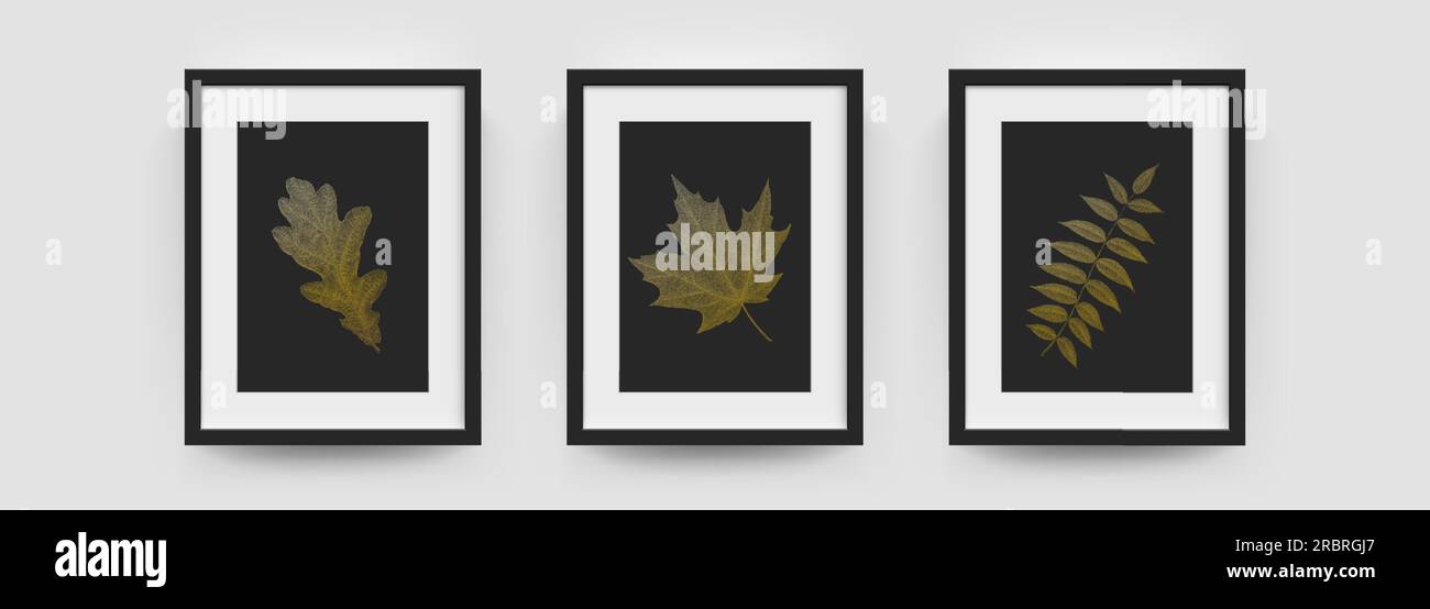Photo frames mockup, wall pictures or posters vector modern white and black box. Photo frame