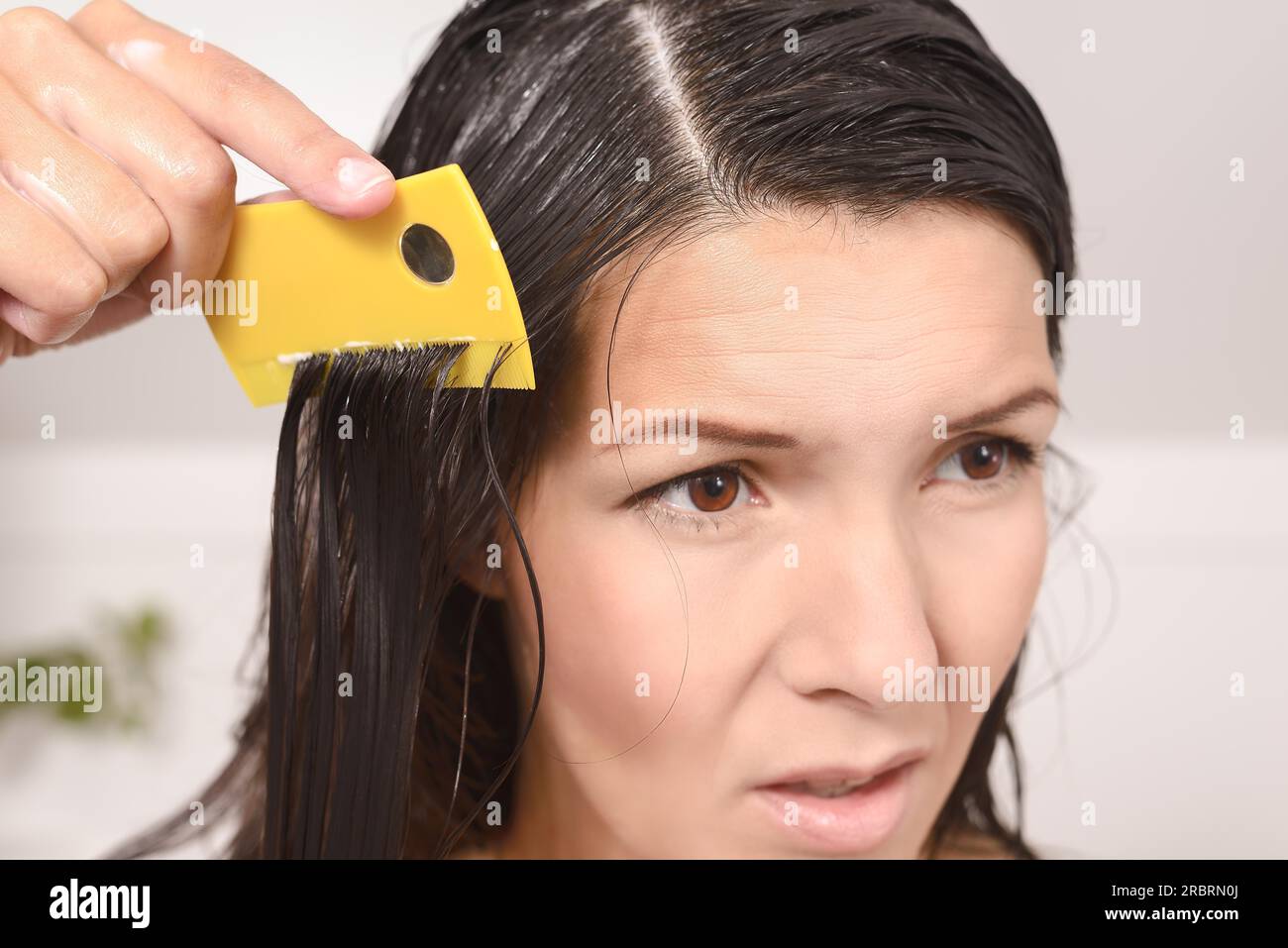 Woman combing out lice in her hair with a lice comb grimacing as she pulls the fine teeth