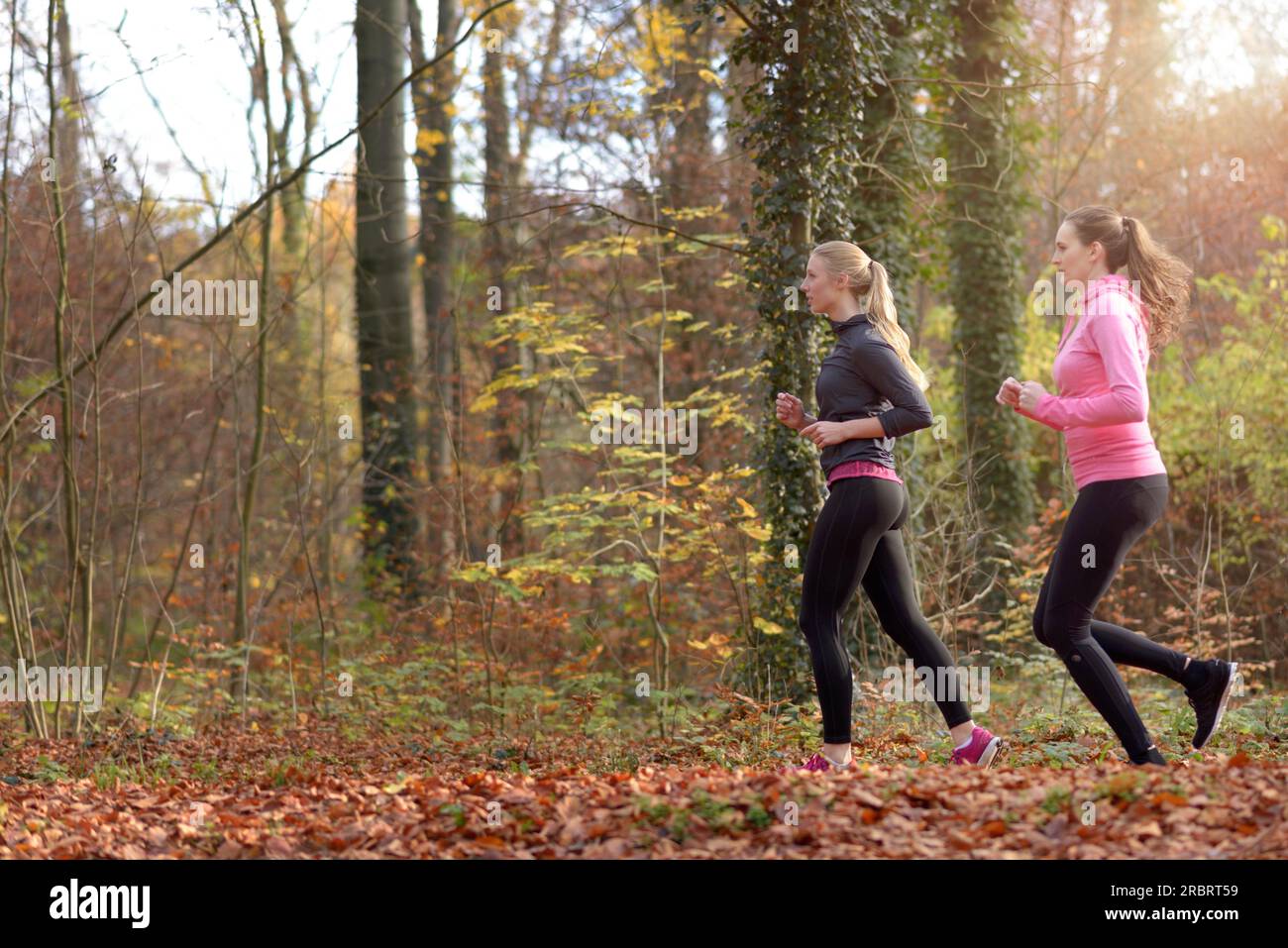 Profile view of two fit young woman jogging together through an autumn forest in a healthy active lifestyle concept Stock Photo