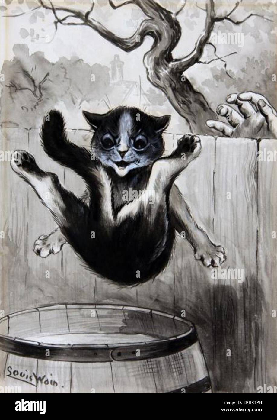 OLD SONG 'THE CAT CAME BACK' 1906 by Louis Wain Stock Photo Alamy