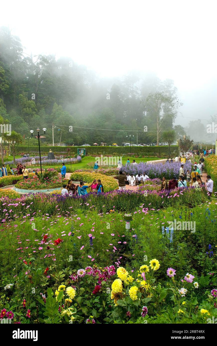 South india state tamil nadu hi-res stock photography and images - Alamy