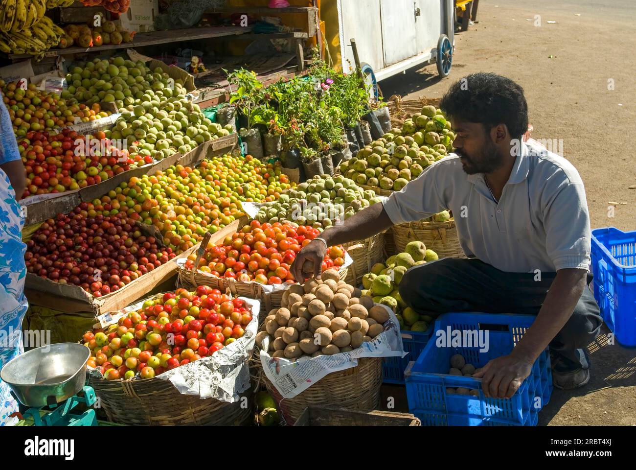 Fruit shop at Kodaikanal, Tamil Nadu, South India, India, Asia Stock