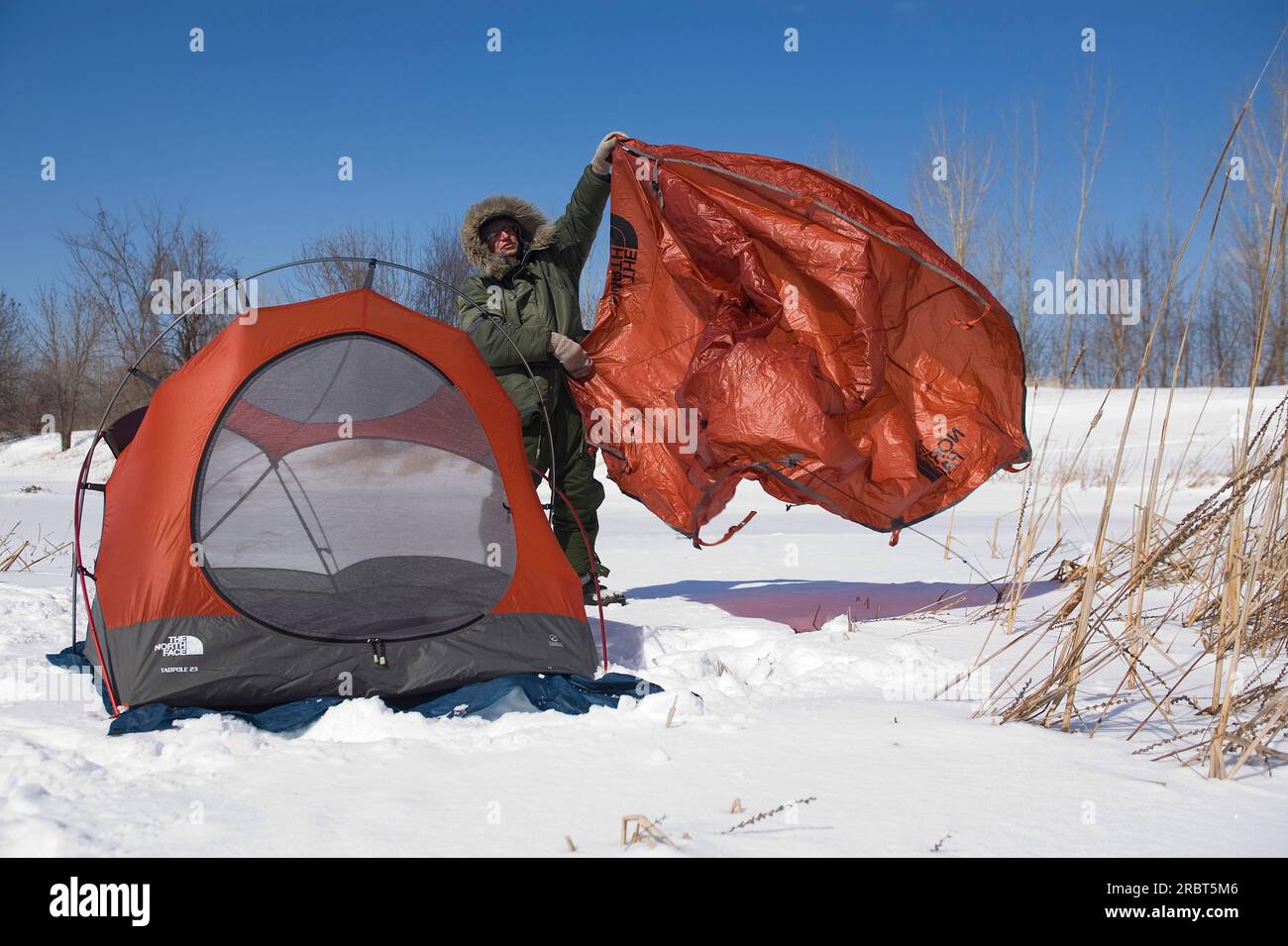 Hiker pitching tent, Boucherville Islands Park, Quebec, Canada Stock