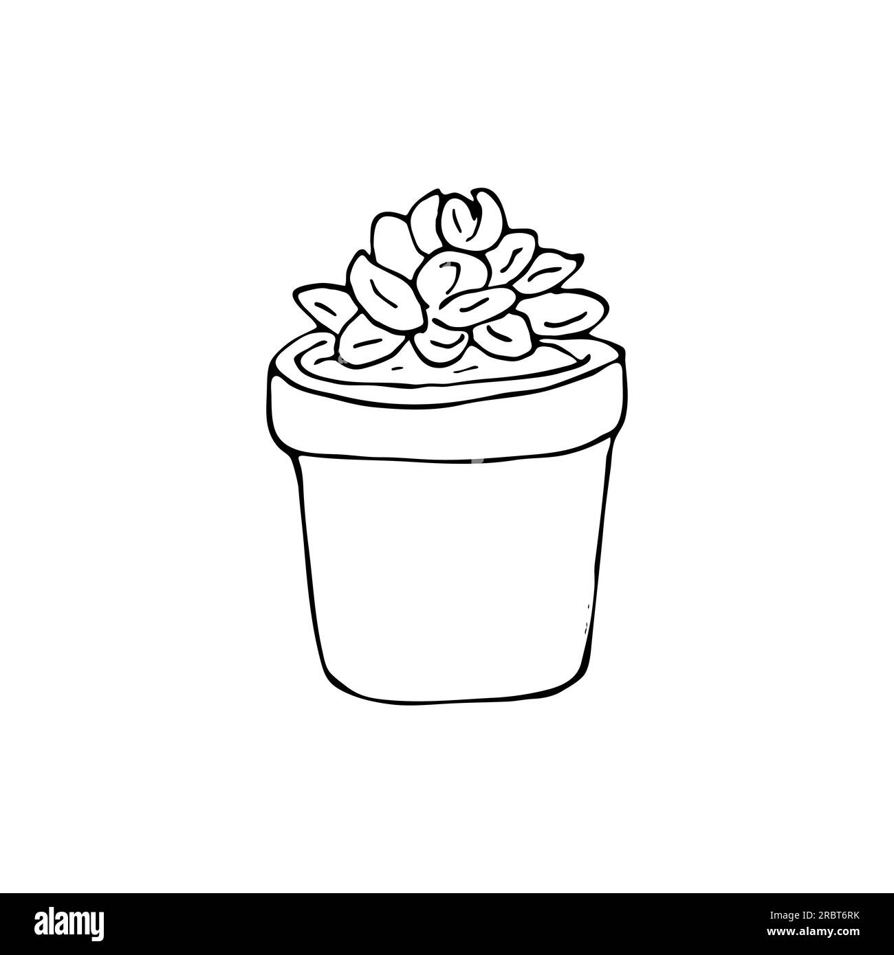 Sketch style small succulent in a pot, isolated on white background. Small plant in earthenware hand-drawn vector illustration, Indoor Plant. Stock Vector
