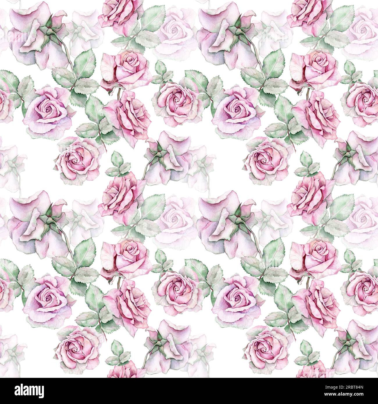 Watercolor seamless pattern. Roses. Hand drawn illustration Stock Photo