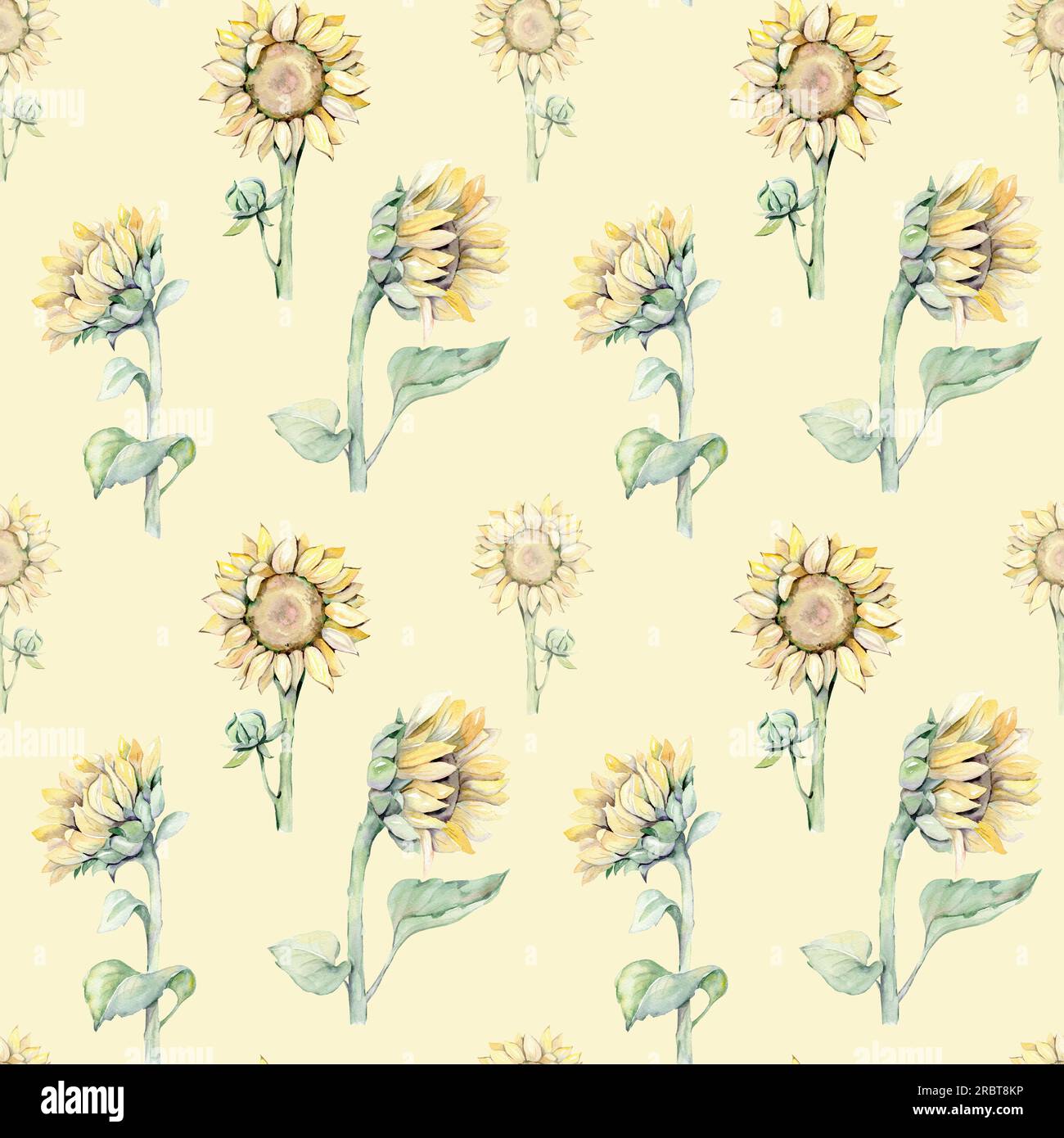 Watercolor seamless pattern with sunflowers and butterflies. Hand drawn ...