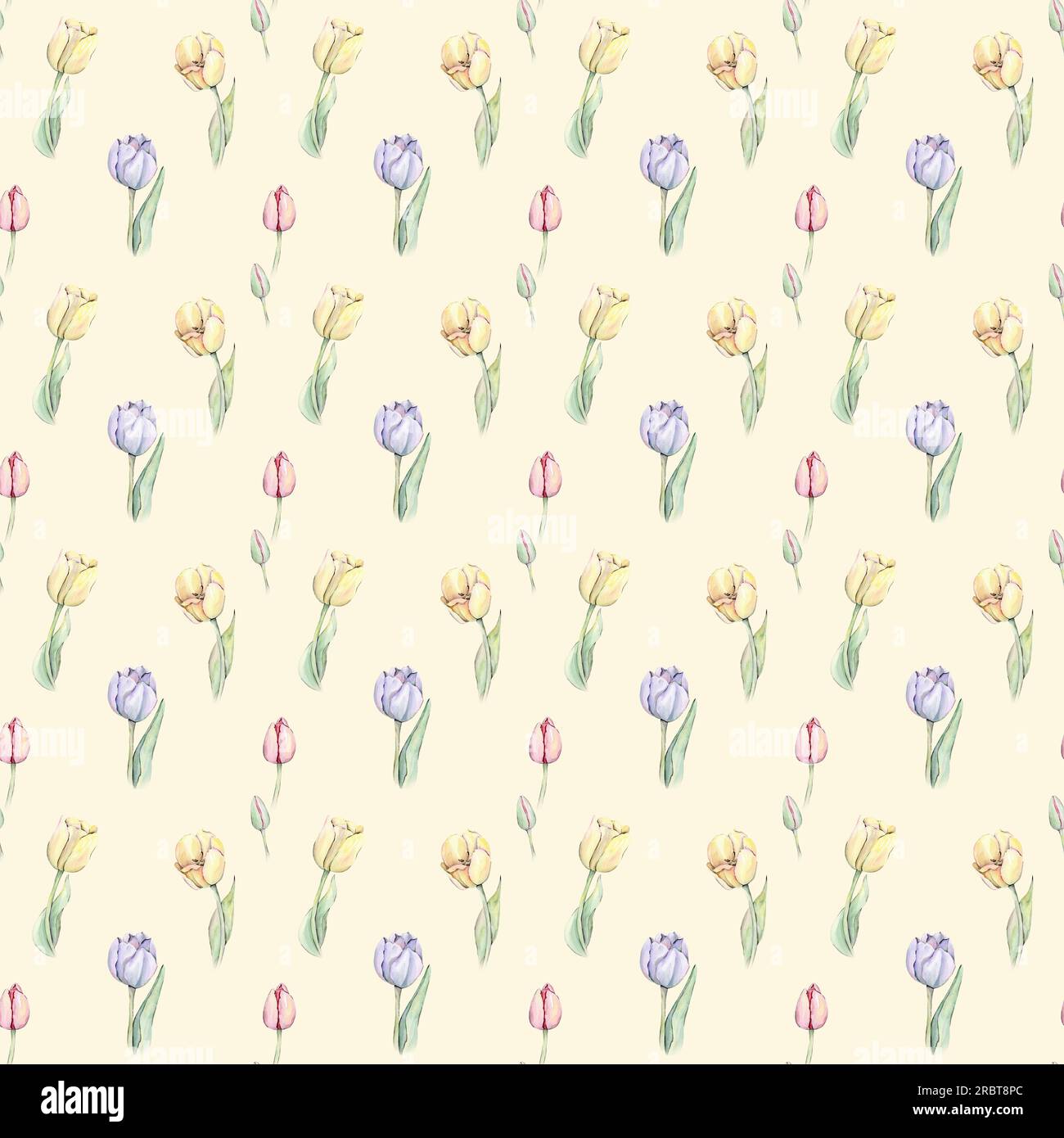 Watercolor tulip pattern. Hand drawn illustration Stock Photo - Alamy