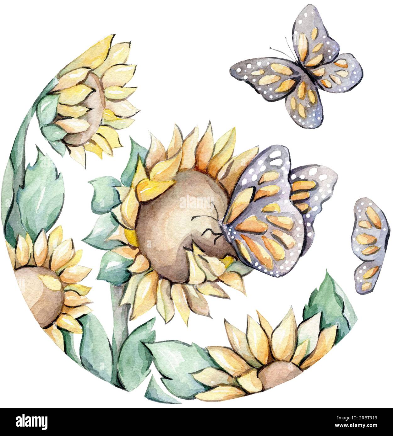 Sunflowers And Butterflies Drawing at Blake Pardey blog