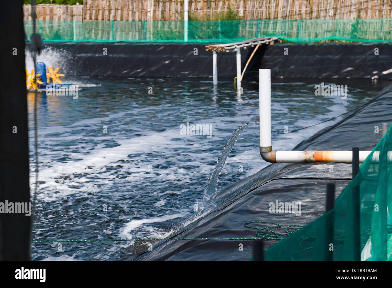 the process of entering water that has gone through an integrated filtering system into the vanamei fish and shrimp cultivation pond Stock Photo