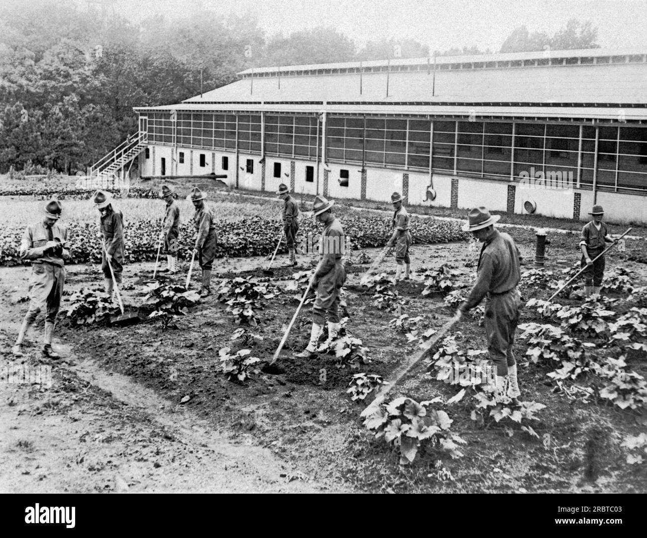 Shell shock Black and White Stock Photos & Images - Alamy