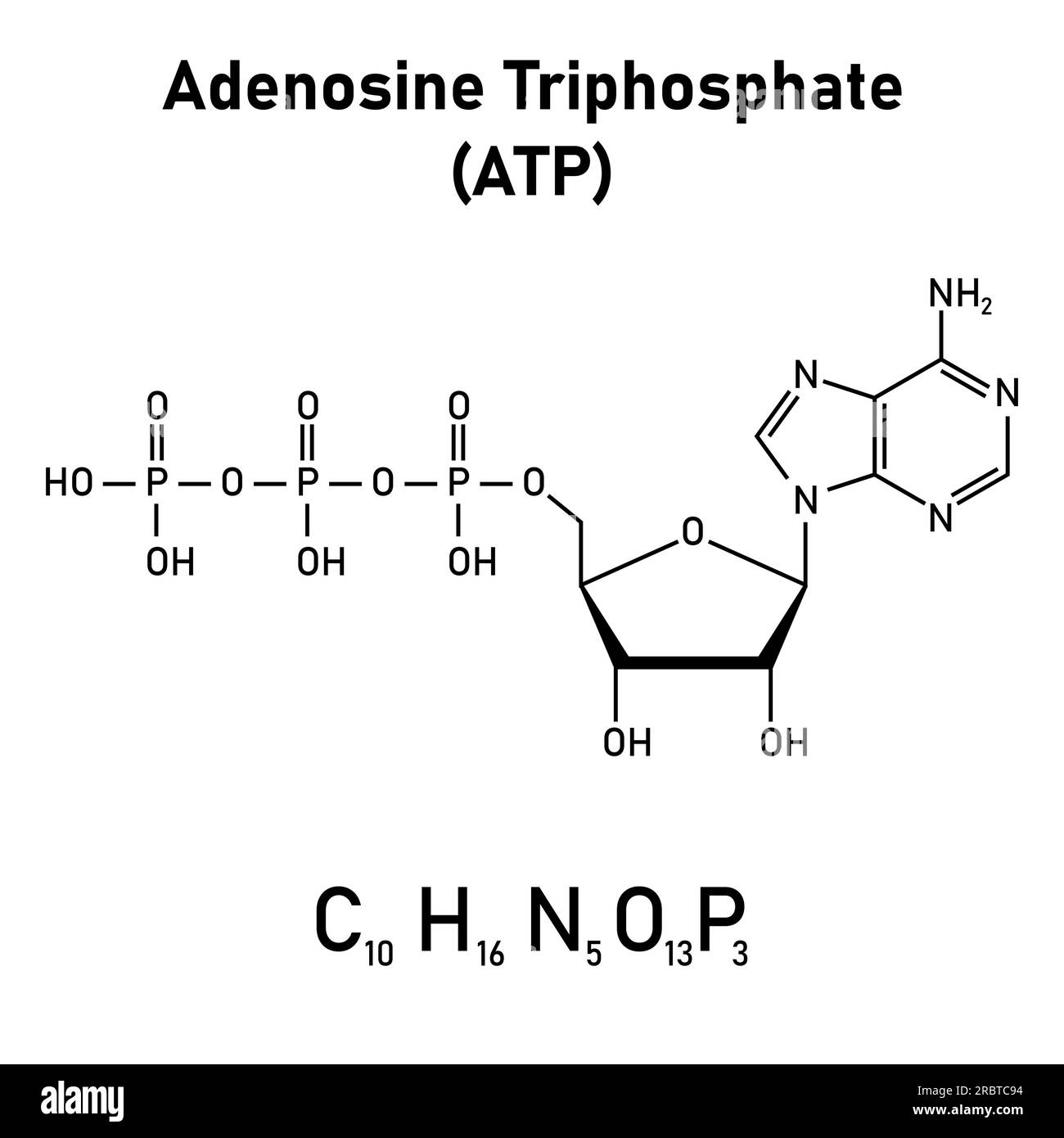 Neurotransmitter Black and White Stock Photos & Images Alamy