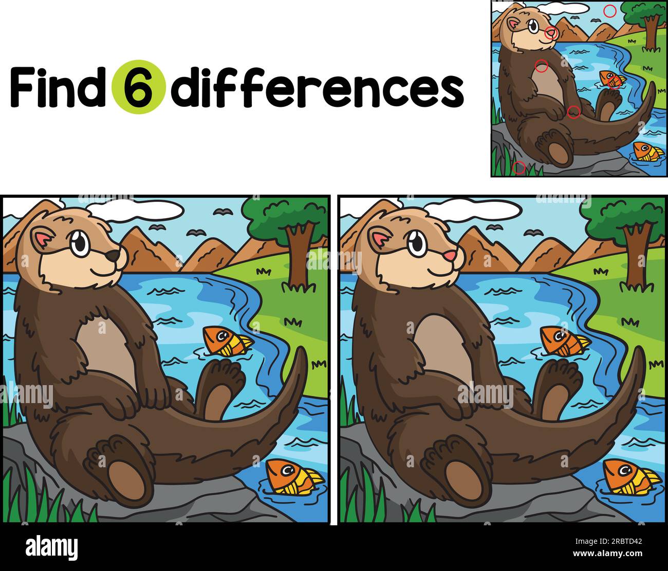 Sea Otter Animal Find The Differences Stock Vector Image & Art - Alamy