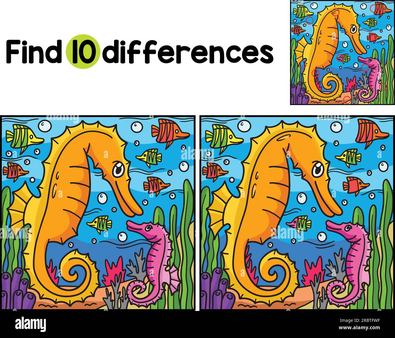Sea Horse Animal Find The Differences Stock Vector Image & Art - Alamy