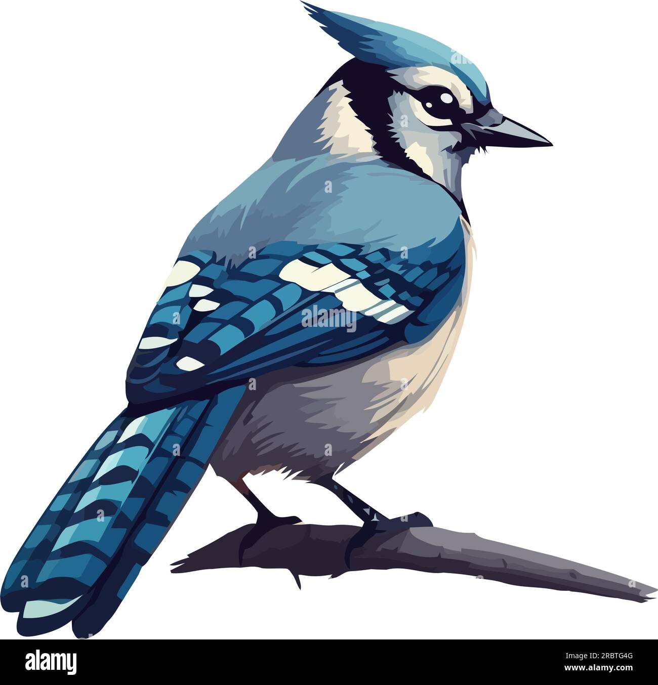 cartoon small blue jay bird icon flat Stock Vector Image & Art - Alamy