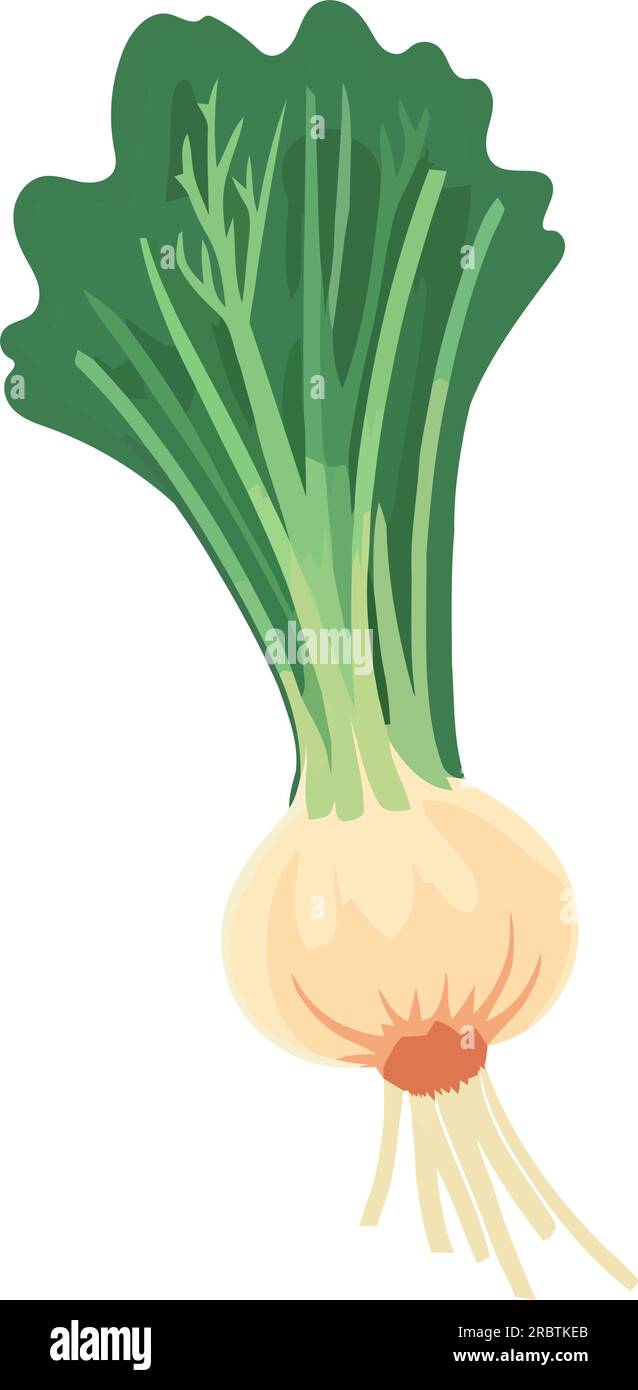 Fresh organic vegetables, healthy meal for diet Stock Vector Image ...