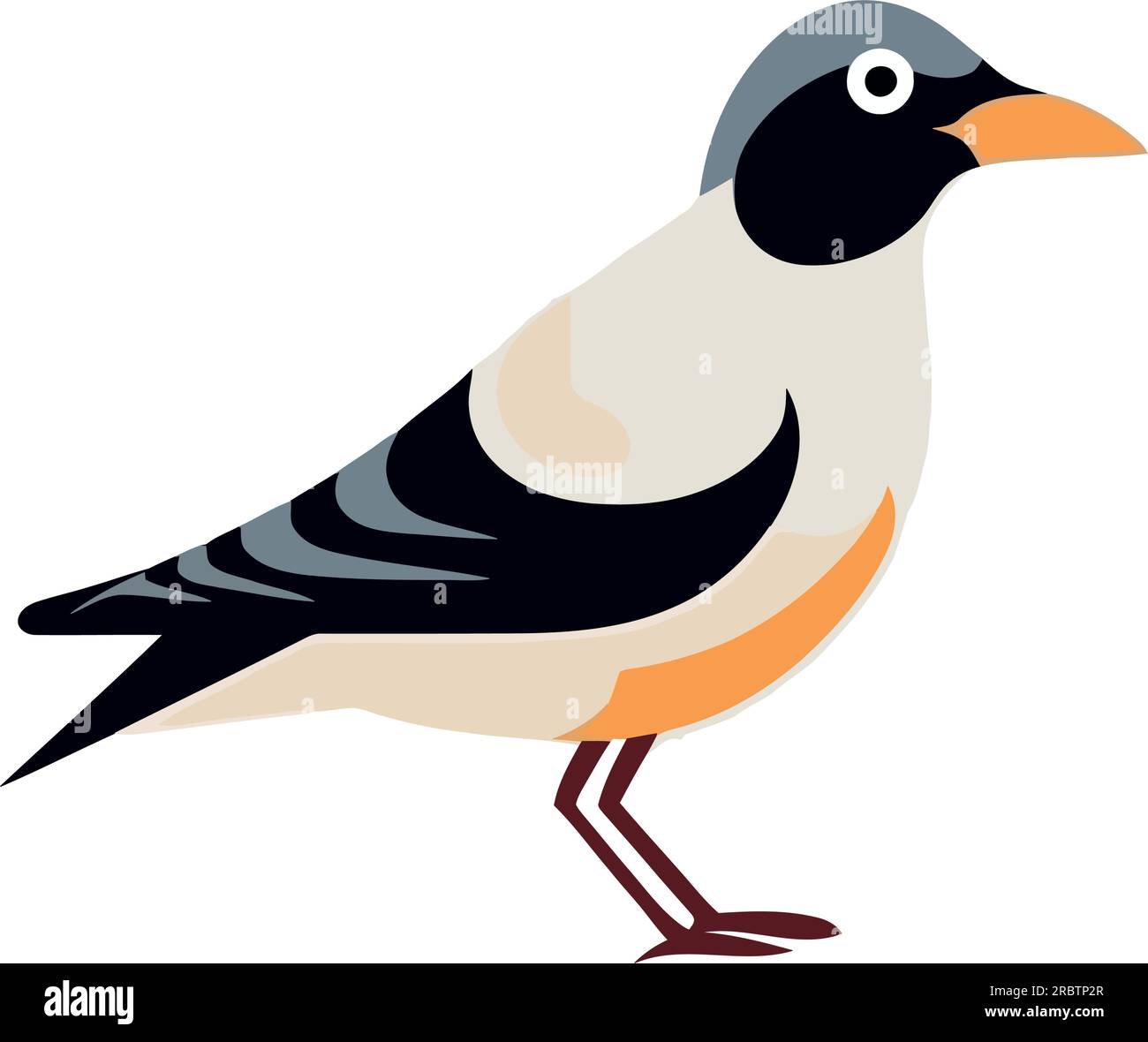 Cute bird design Stock Vector Image & Art - Alamy