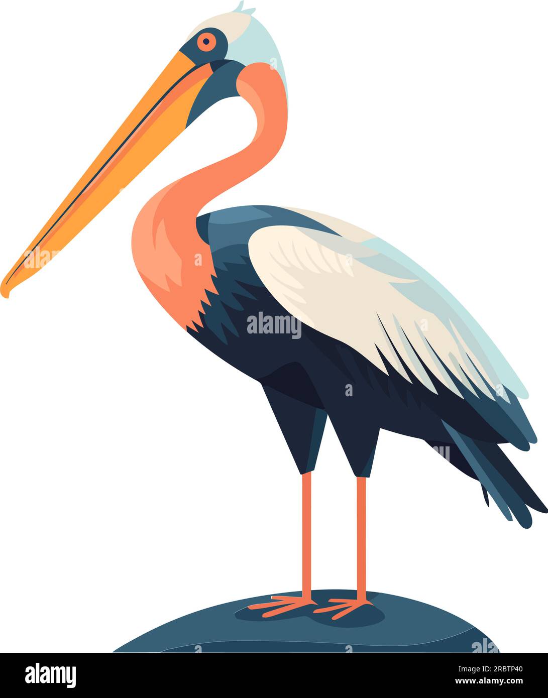 Flying pelican with feathered beak Stock Vector Image & Art - Alamy