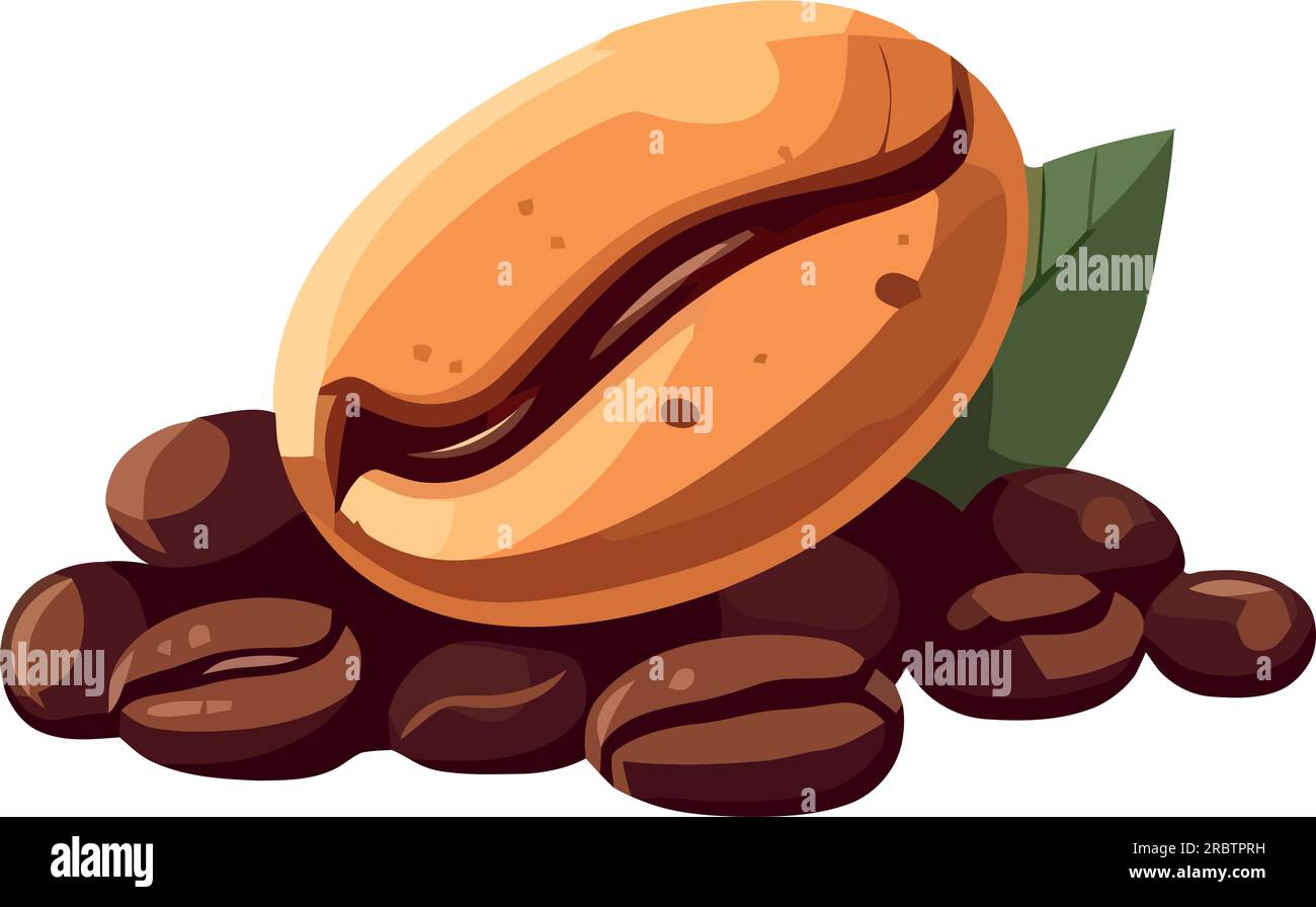 Organic coffee beans vector design Stock Vector Image & Art - Alamy