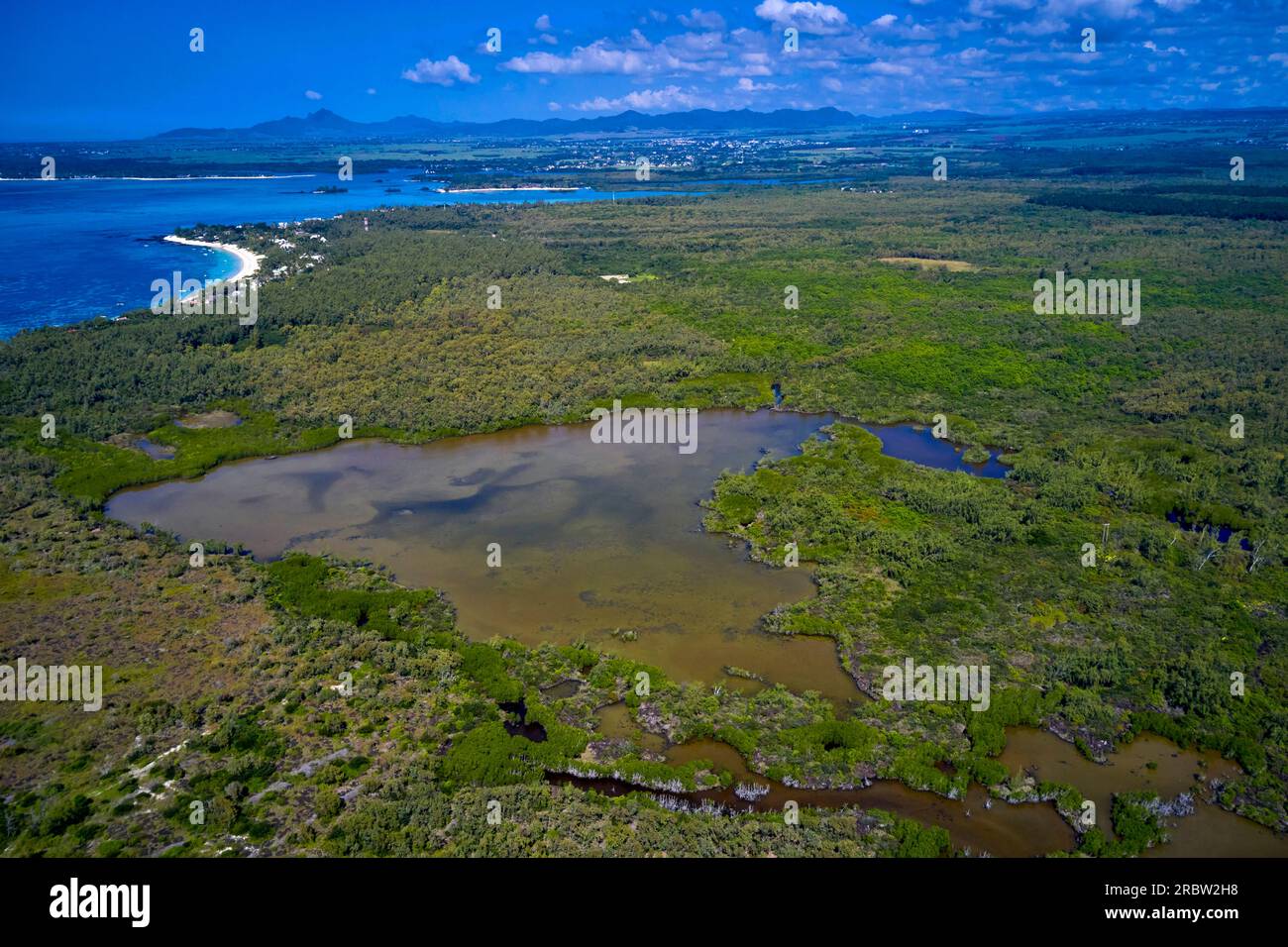 Mauritius, Flacq district, Mare Sarcelle wetlands Stock Photo