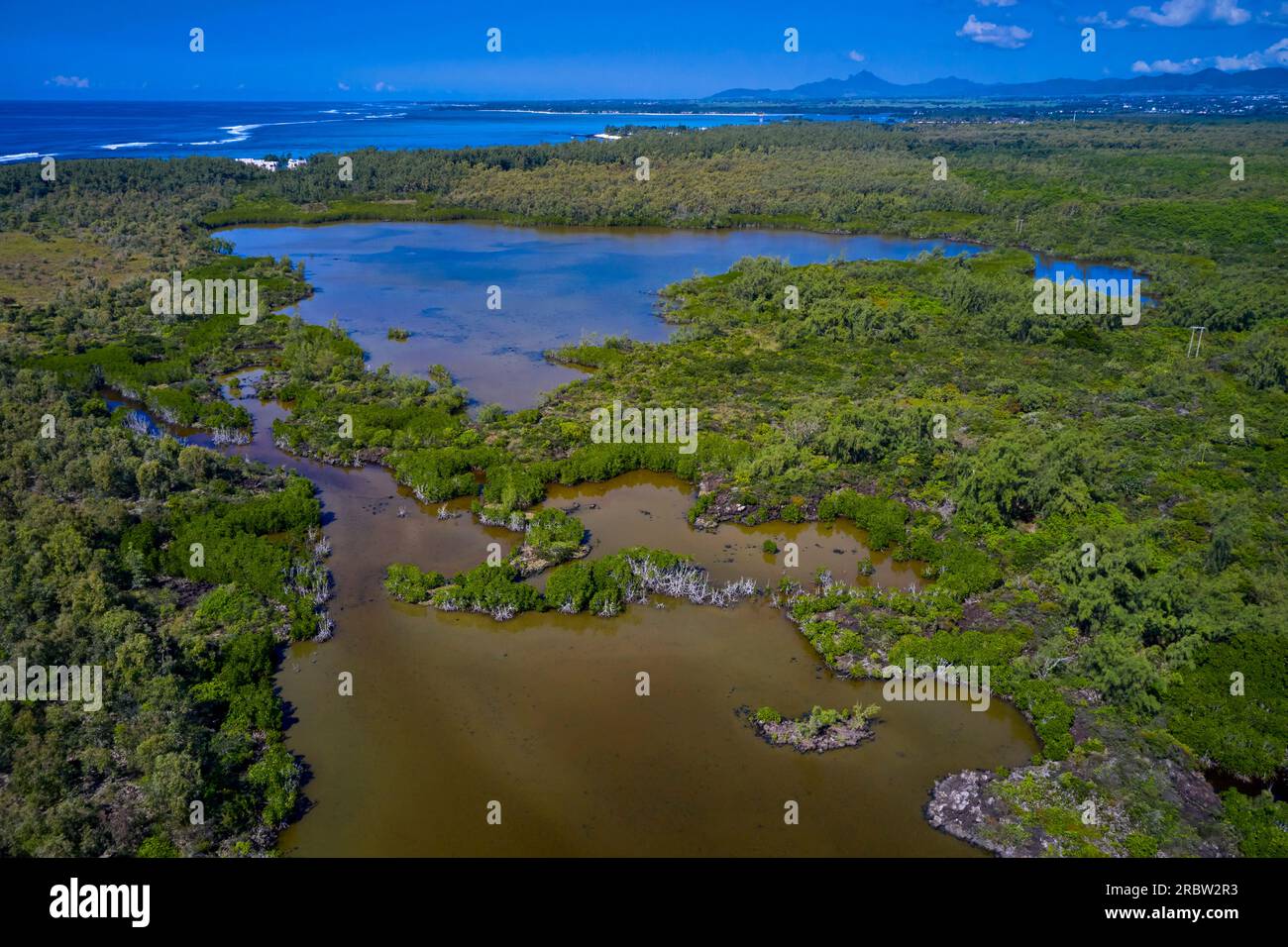 Mauritius, Flacq district, Mare Sarcelle wetlands Stock Photo