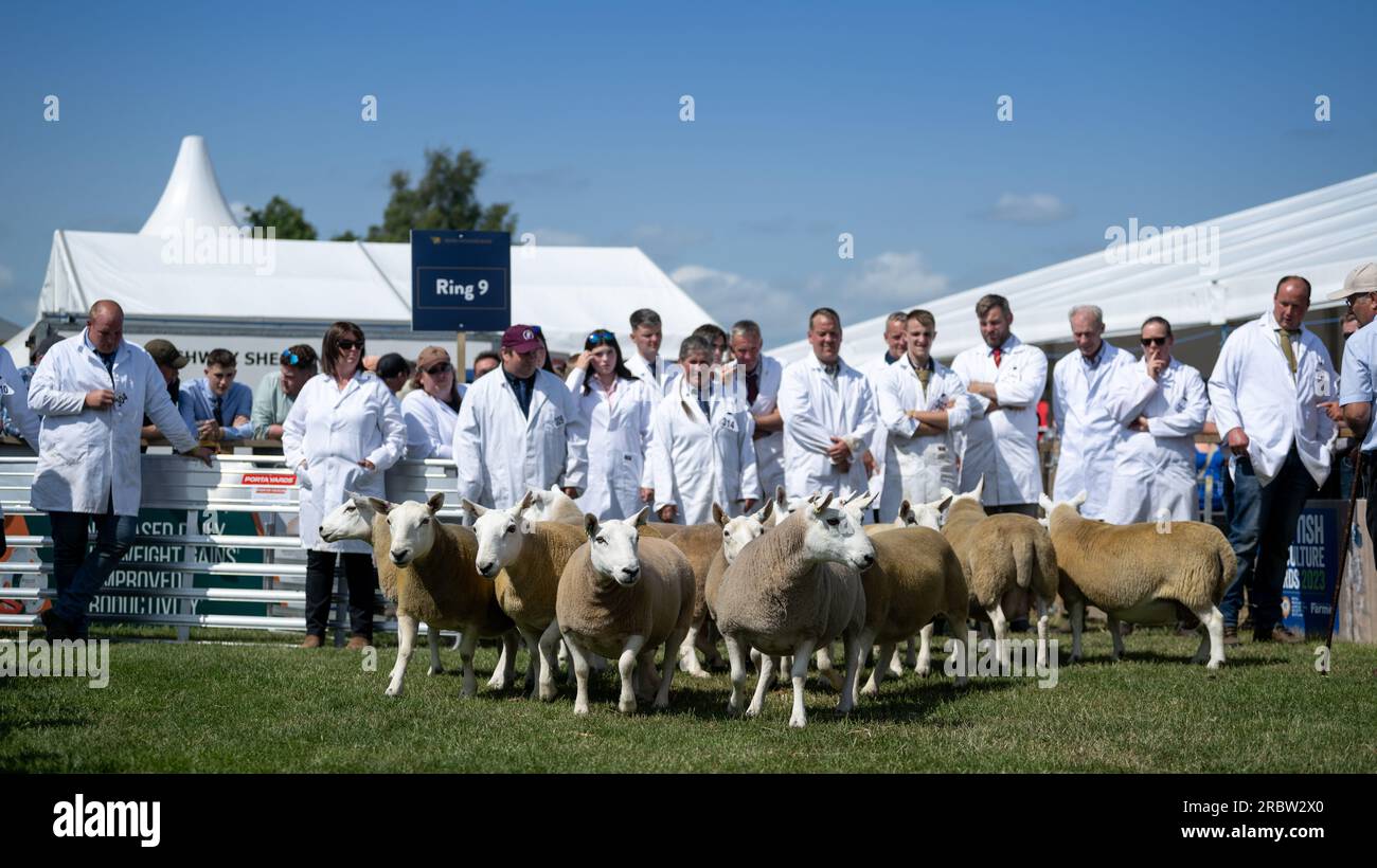 Farmers showing their sheep at the Royal Highland Show, Edinburgh, 2023