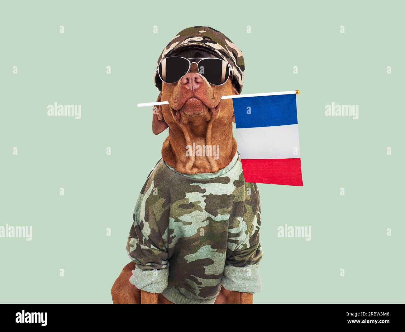 Soldier french flag hi-res stock photography and images - Alamy