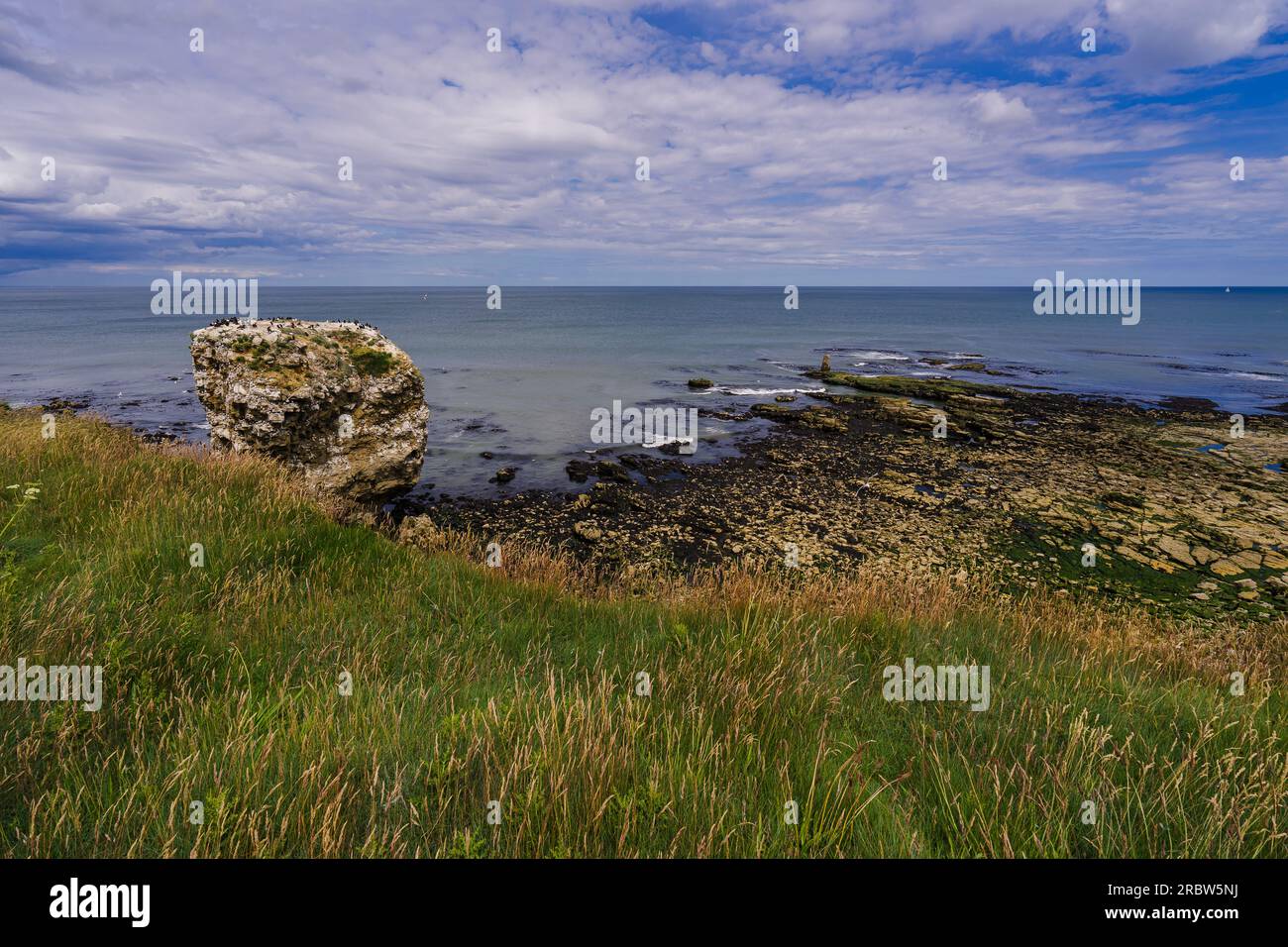 Jack Rock, a sea stack, near the Souther Lighthouse in Sunderland,viewed from the nearby clifftop. Stock Photo