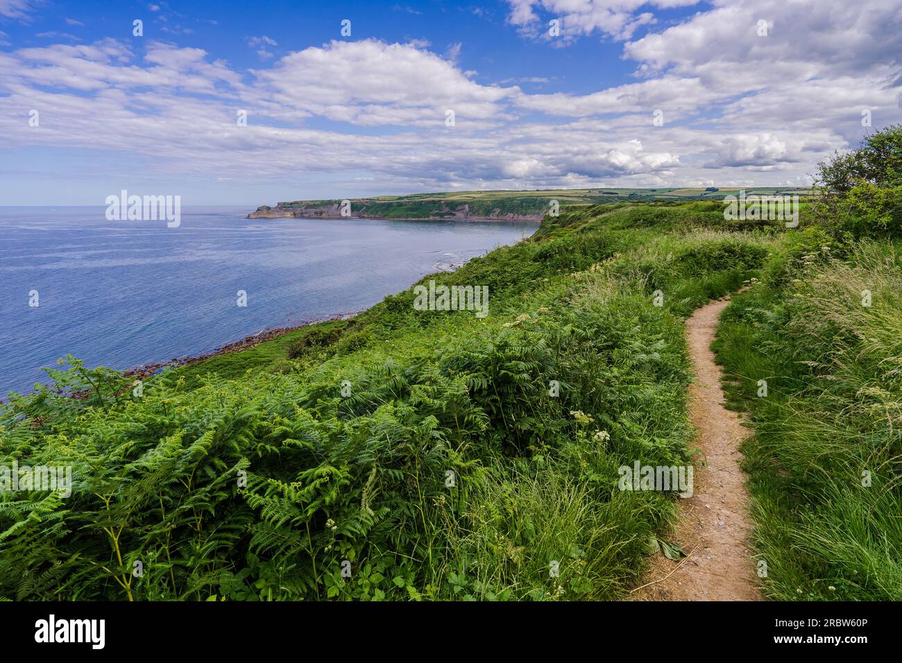 The Cleveland Way long distance footpath. View from the path between ...
