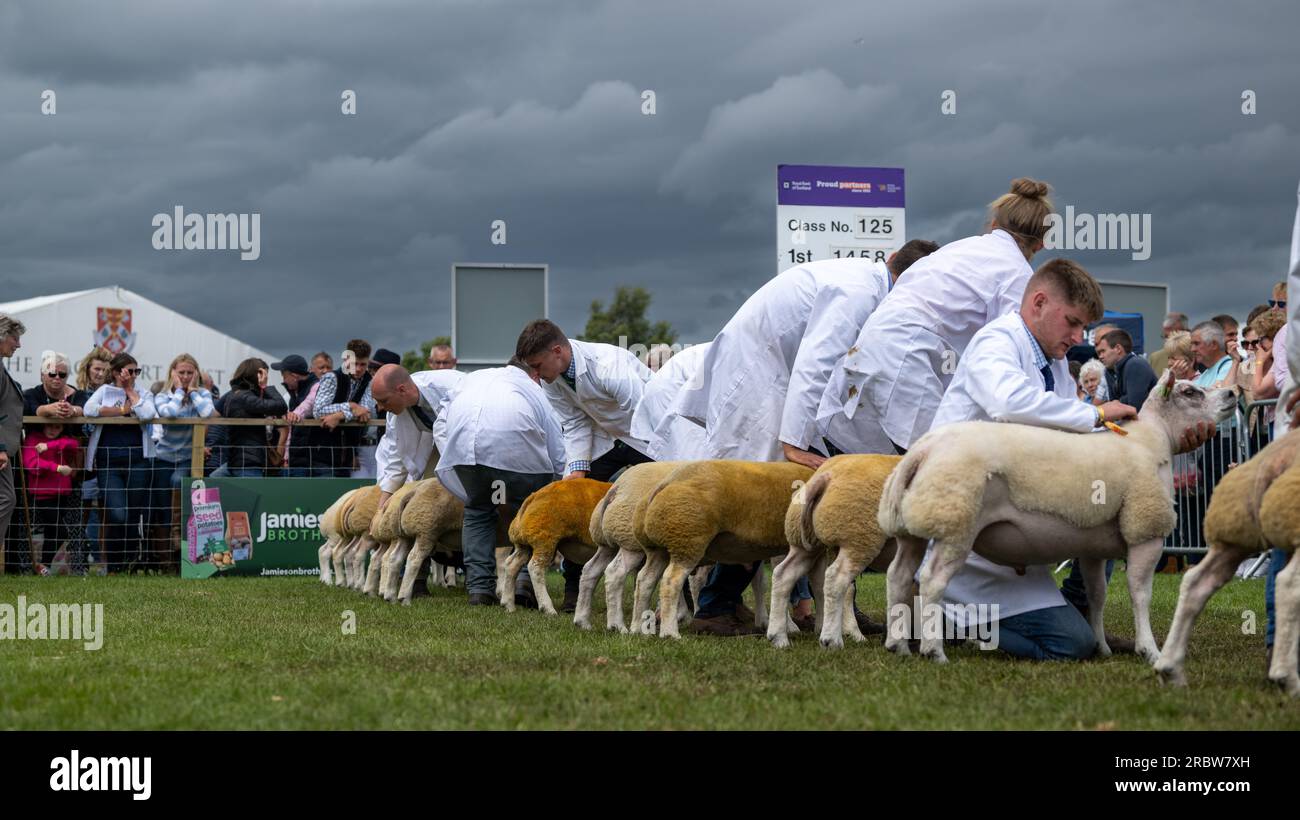 Farmers showing their sheep at the Royal Highland Show, Edinburgh, 2023