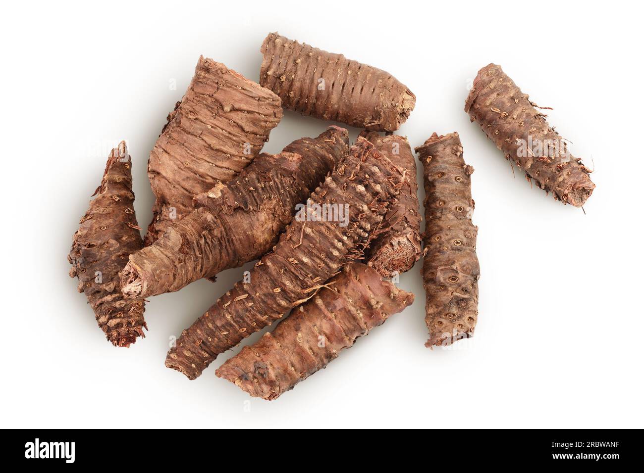 Rhodiola rosea root isolated on white background. Top view. Flat lay. Stock Photo