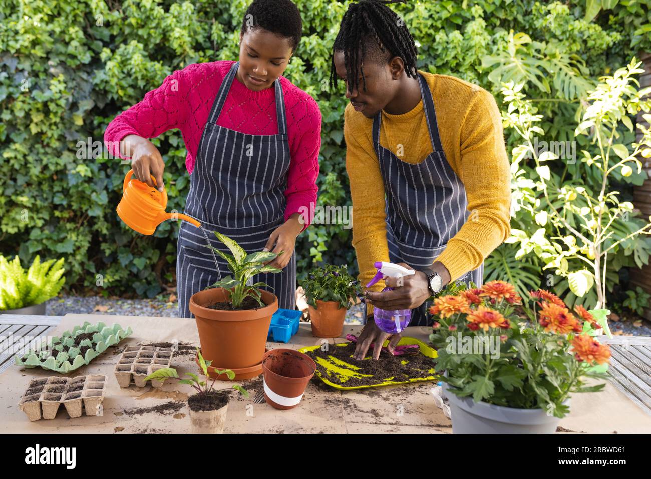 Happy african american couple in aprons planting in sunny garden Stock ...