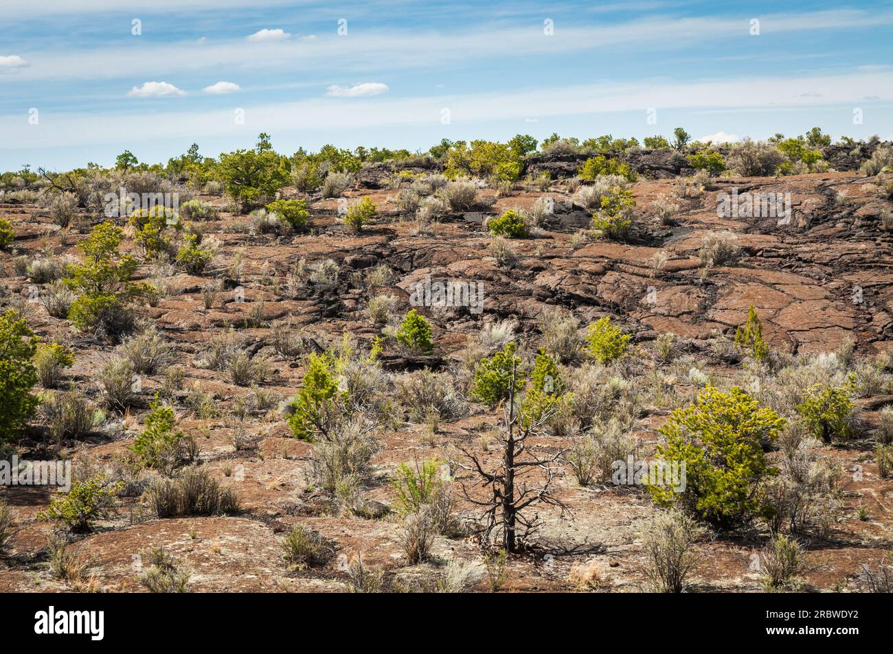 El Malpais National Monument in western New Mexico Stock Photo Alamy