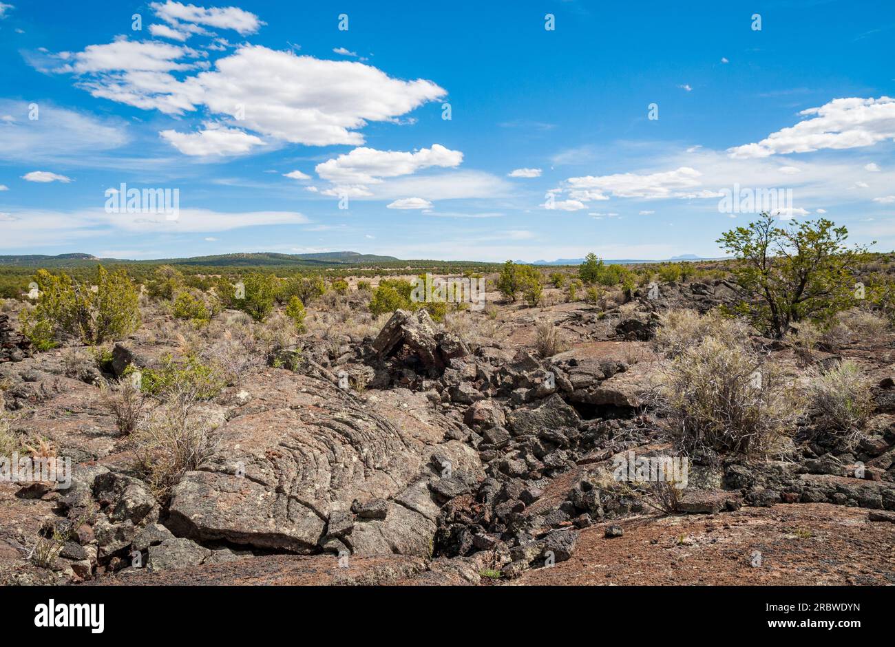 El Malpais National Monument in western New Mexico Stock Photo Alamy