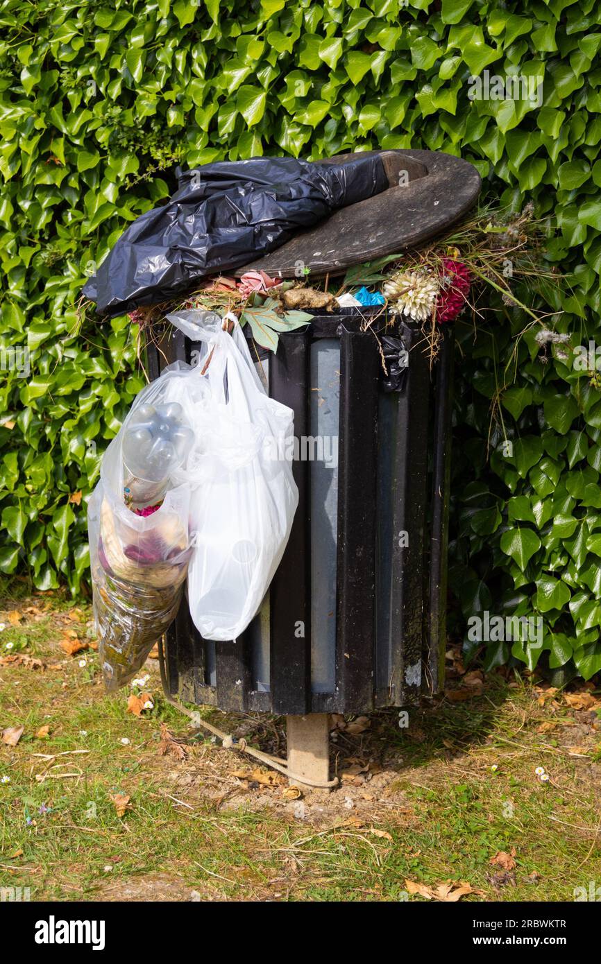 Overflowing outdoor trash bin with garbage bags, surrounded by green hedge, uk Stock Photo