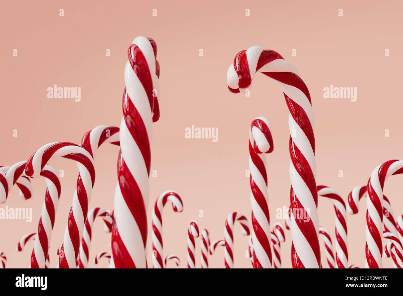 Christmas candy cane red and white festive sweet on a pink background