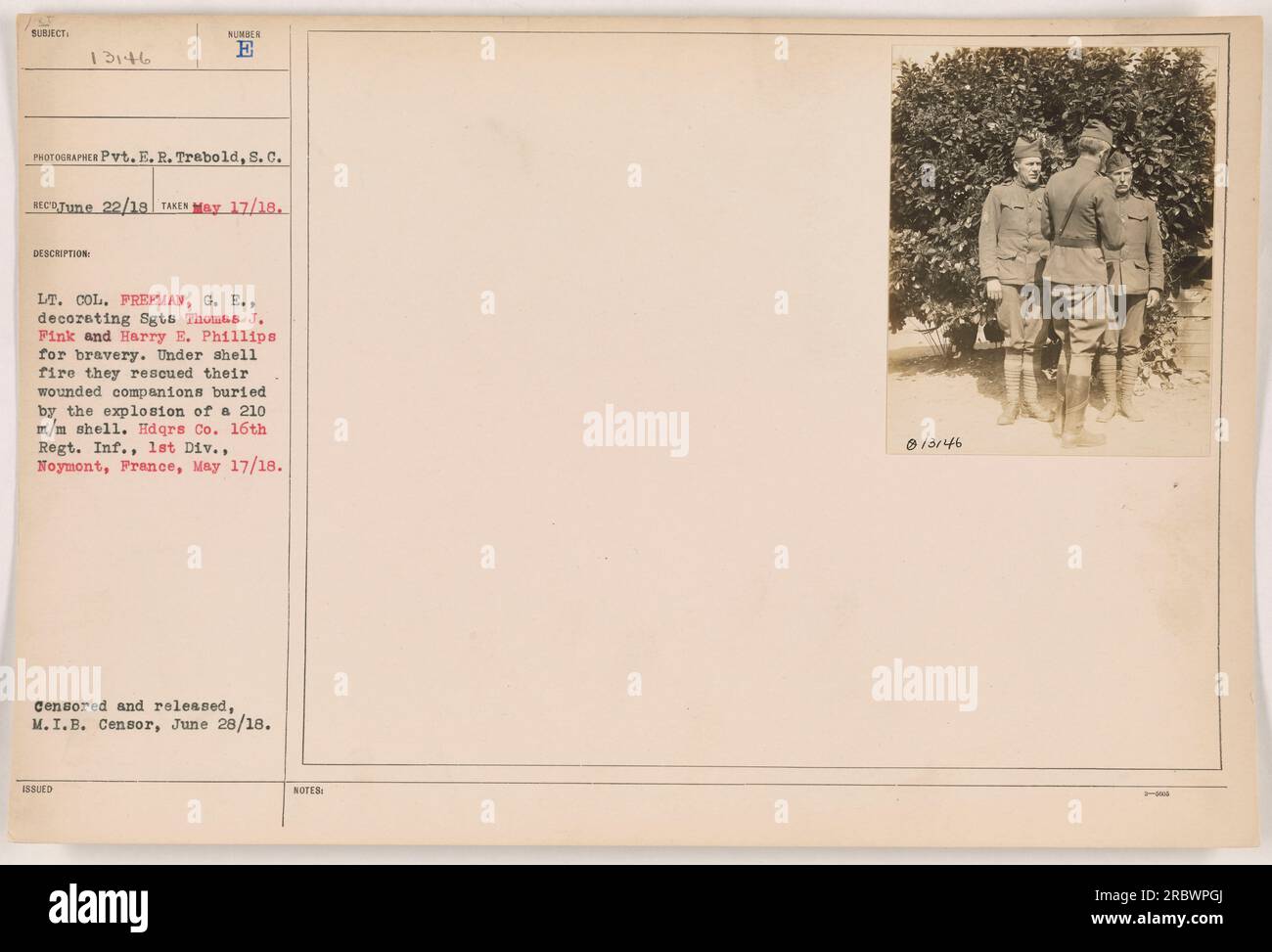 Aggregate 110+ freeman decorating best noithatsi.vn