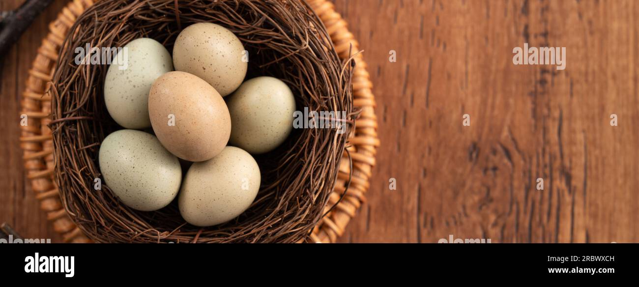 Top view of fresh button quail eggs in a nest on wooden table background. Stock Photo