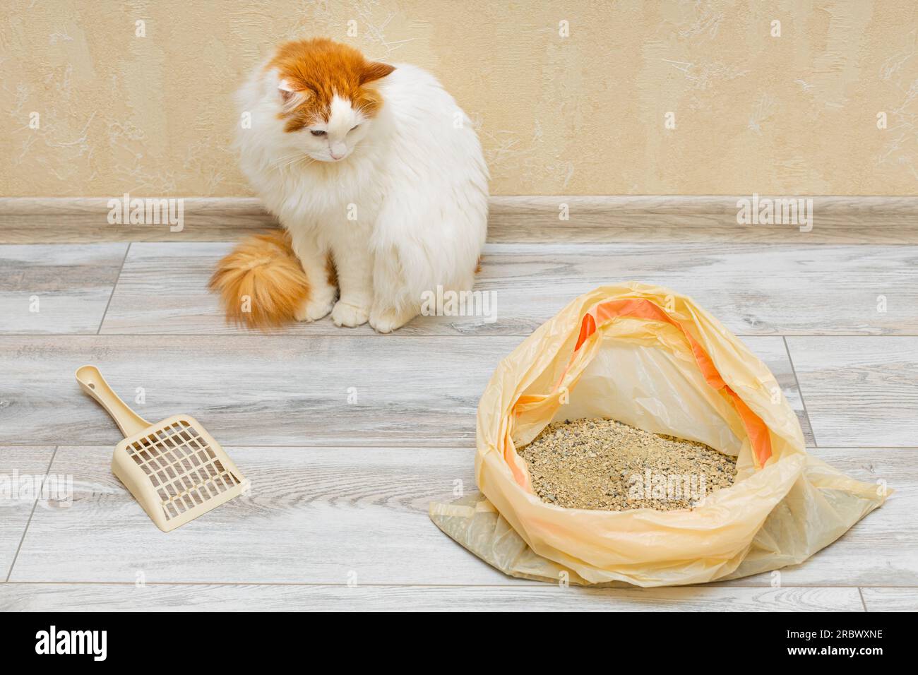 Replacing toilet hires stock photography and images Alamy