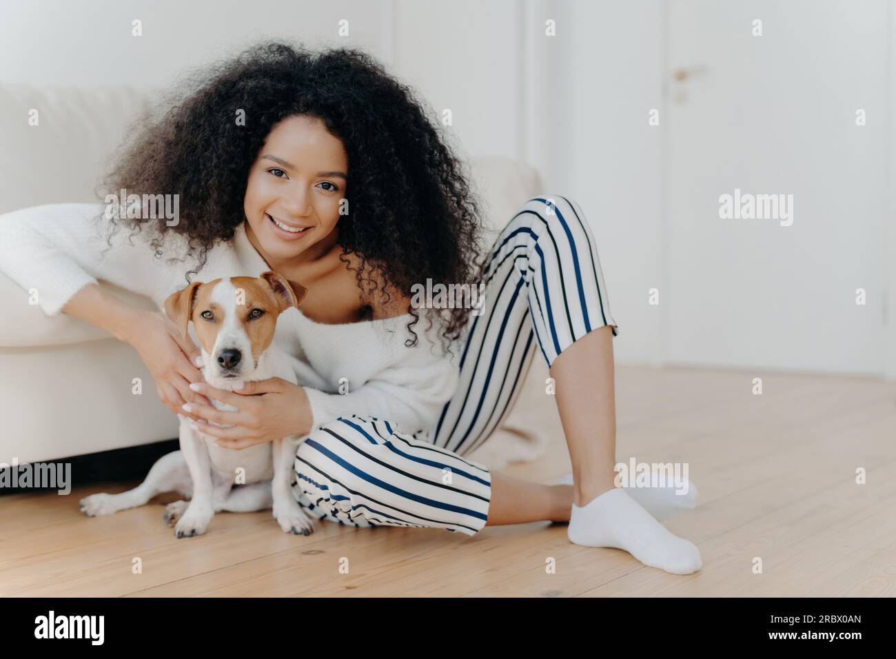 Curly-haired model poses indoors with beloved Jack Russell Terrier. Tender embrace, sitting on floor near comfy sofa. Cherishing time together. Stock Photo