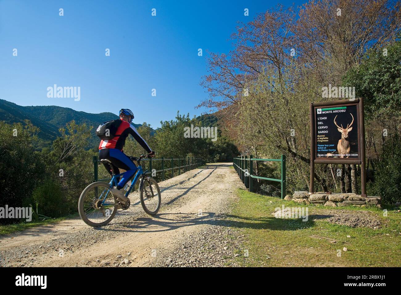 Oasis WWF Monte Arcosu. The Monte Arcosu - Piscinamanna forest complex is the largest Mediterranean Maquis forest in the entire Mediterranean basin. S Stock Photo