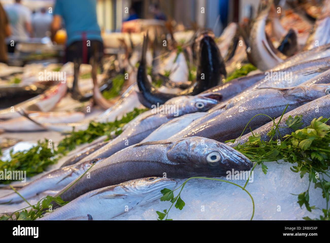 Stall with fishes on food market Capo in Palermo, Sicily Stock Photo